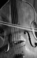 bass-bowed